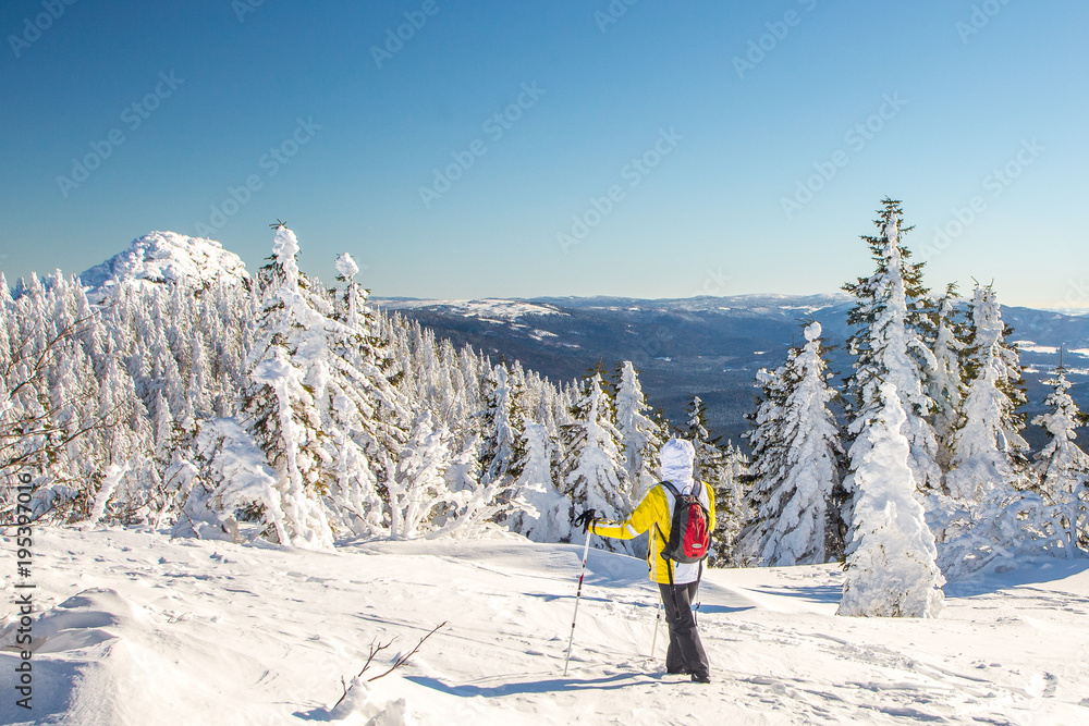 Winterwanderer am Grossen Arber im Bayerischen Wald