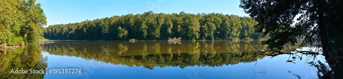 Panorama of a forest lake