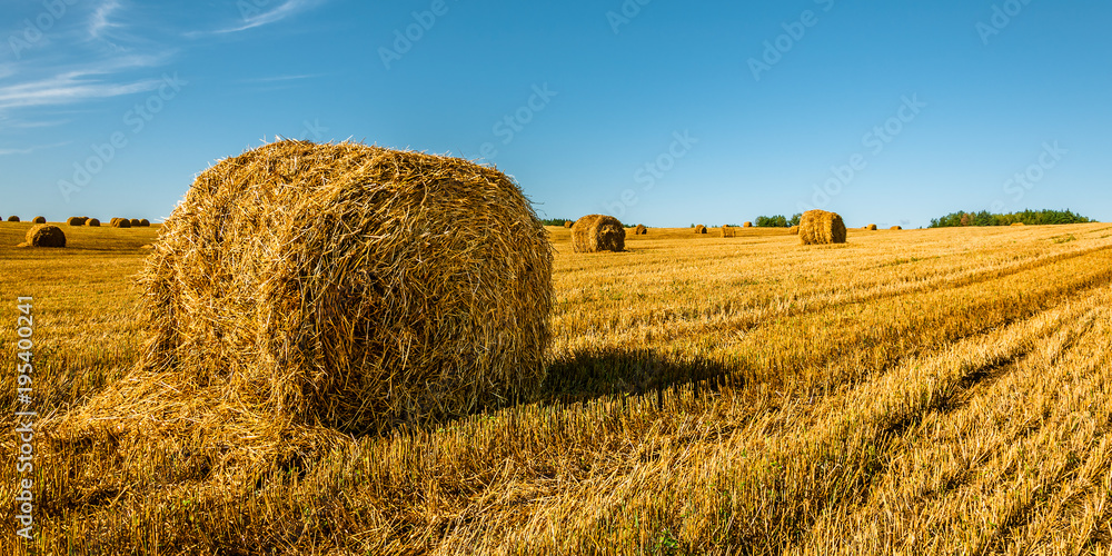 summer agricultural landscape. A straw bale left in the foreground on field after harvesting under a beautiful blue sky