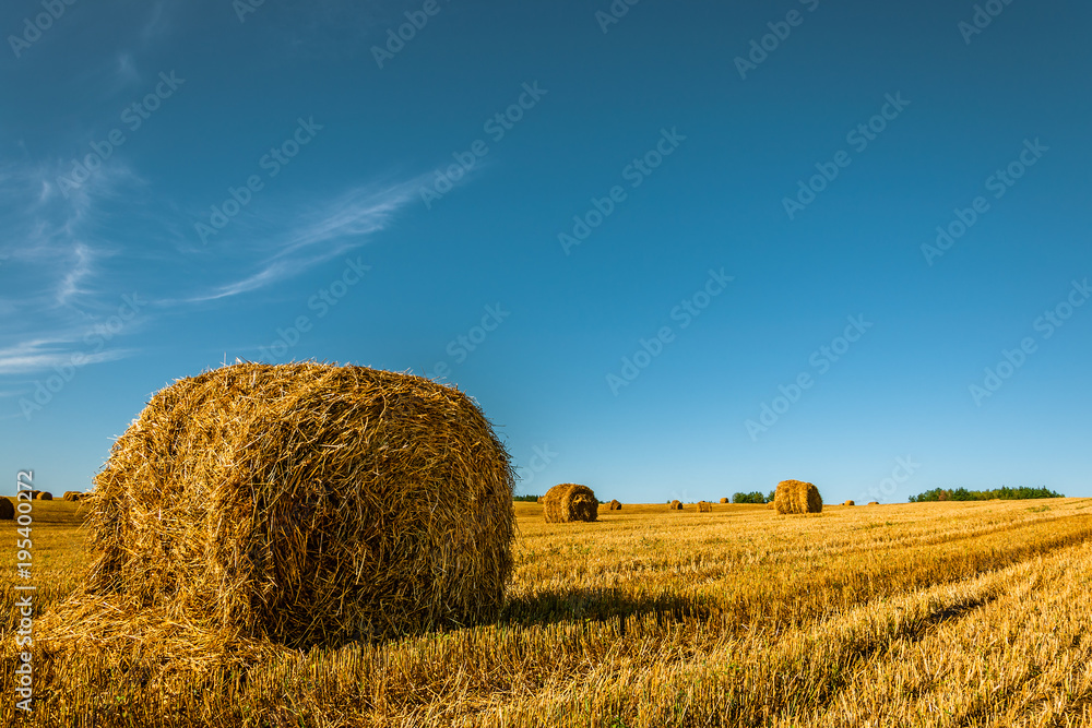 beautiful summer agricultural landscape. Bale of straw on the left in the foreground on the field after harvesting against a clear blue sky background