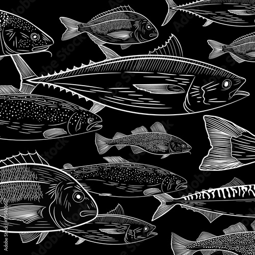 Picture of a popular sea fish. Tuna, dorado, salmon, cod, mackerel. Sketch of drawing, vector illustration