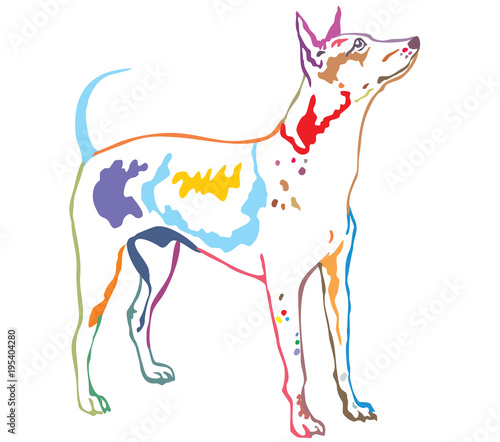 Colorful decorative standing portrait of American Hairless Terrier vector illustration