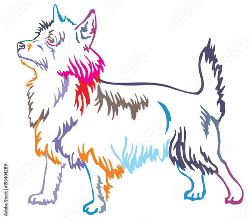 Foto Colorful decorative standing portrait of Australian Terrier vector illustration