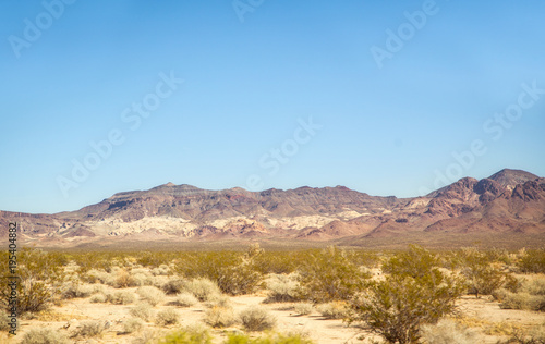 Green shrubs and a big mountain in the background in the Mojave desert on a march afternoon © kat7213