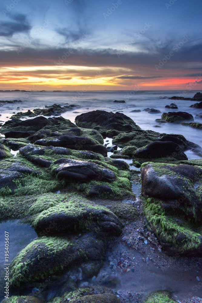 Obraz premium Seascape with rocks covered by green moss during sunset.