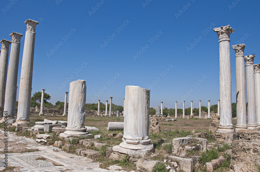 Ancient city of Salamis. Salamis is an ancient Greek city-state on the Northern Cyprus, at the mouth of the river Pedieos, 6 km north of modern Famagusta.
