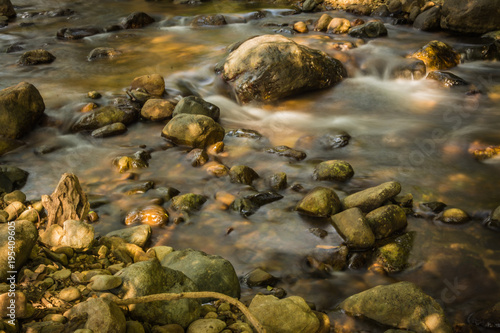 Streams in the forest