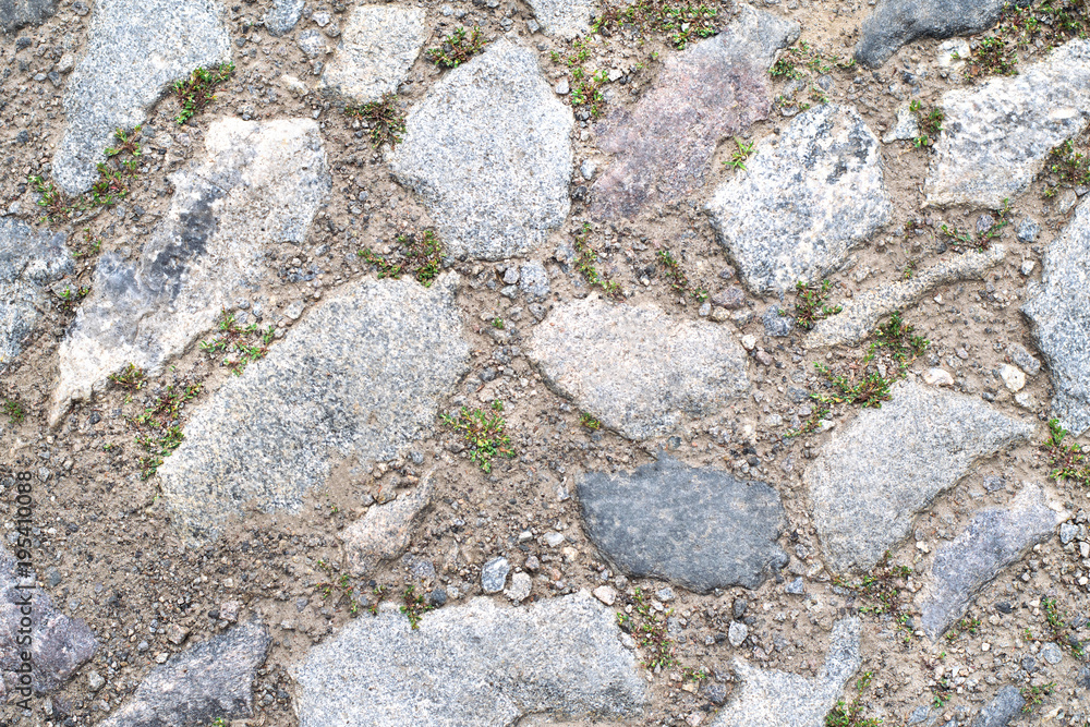 Seamless texture of a paving stone track on a green grass