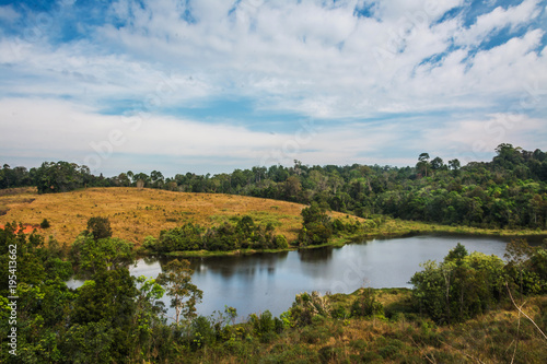 landscape of Meadow with tree , Khao Yai National Park Thailand