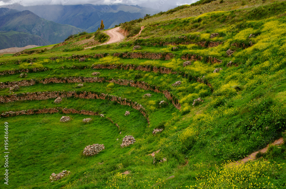 Agricultural Inca Terraces at Moray, Peru