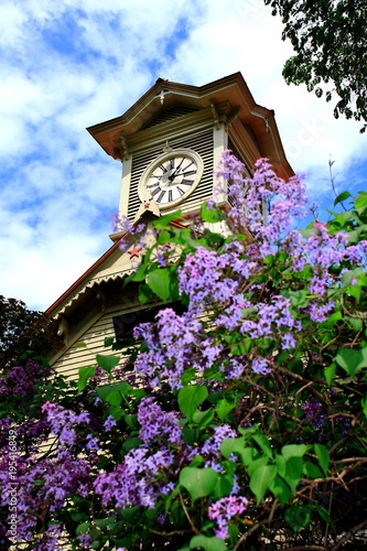 Lilac and the view of the clock tower