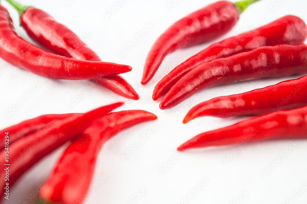 hot chilli hot chilli