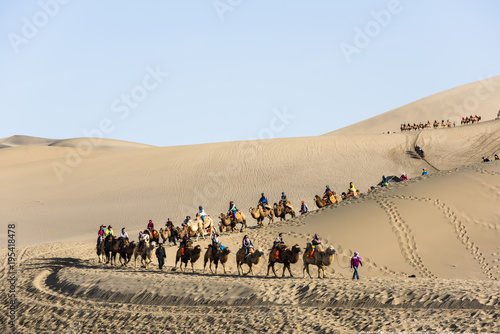 Tourists riding the camels in the desert park, Dunhuang of China