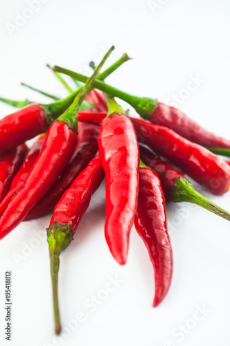 hot chilli