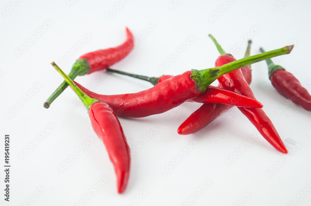 hot chilli hot chilli