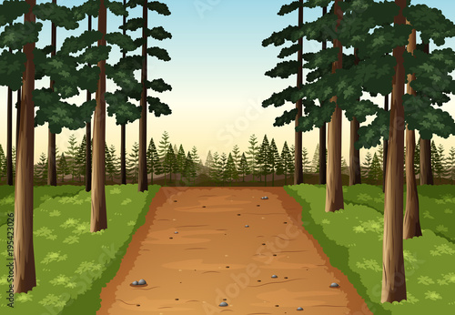 Background scene with pine forest
