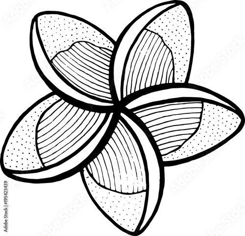 Lumeria coloring page. Line art for coloring books for kids and adults. Vector illustration.