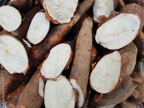 Photography root known as yuca or  Yucca in a local market in Bogota, Colombia