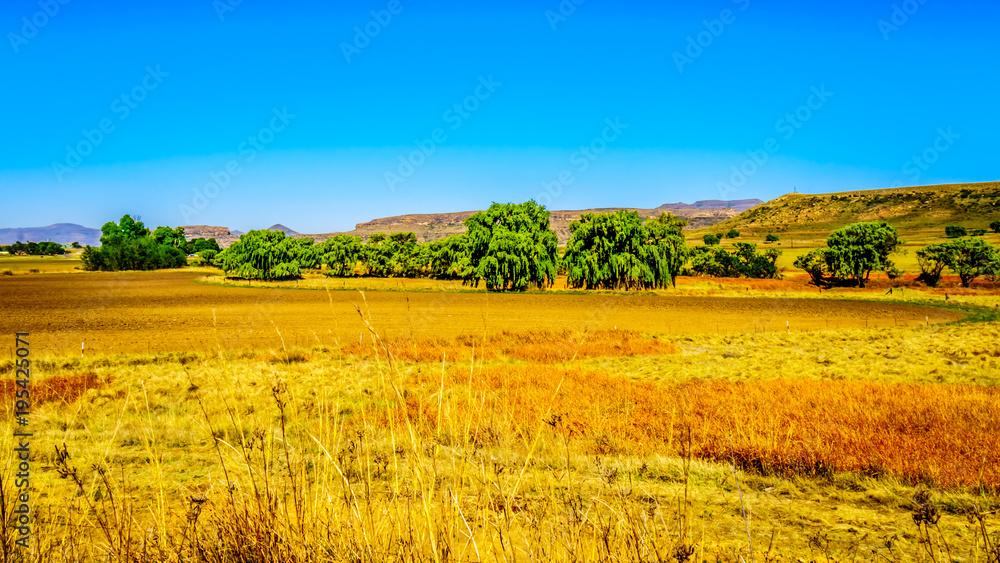 Fototapeta premium Landscape with the fertile farmlands along highway R26, in the Free State province of South Africa