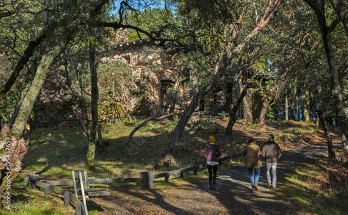 A Trio of Individuals Walks in Woods near the Old Stone Ruins of Jack London State Park in Glen Ellen, California photo