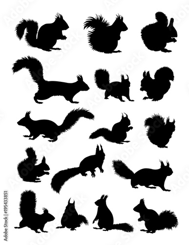 Squirrel silhouette. Good use for symbol, logo, web icon, mascot, sign, or any design you want.