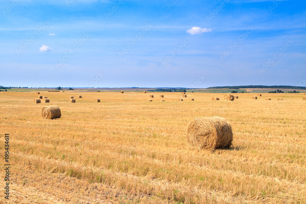 Golden straw stubble field in autumn