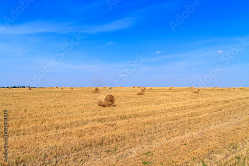 Golden straw stubble field in autumn