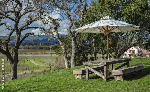 An Umbrella Shades a Picnic Table with a Killer View of a California Vineyard