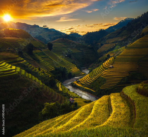 Obraz na plátně Rice field and rice terrace in Mu cang chai