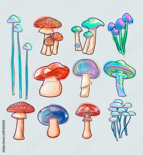 mushroom vector set