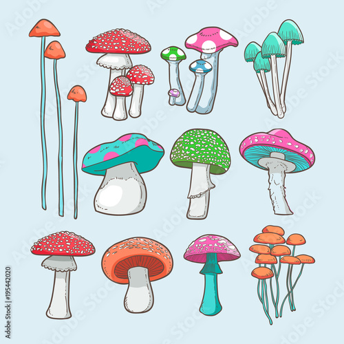 Valokuvatapetti mushroom vector set