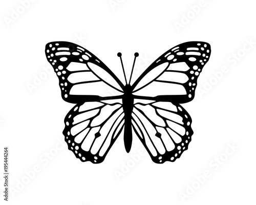 Beautiful Flying Butterfly Sign Symbol Animal Icon Logo Vector