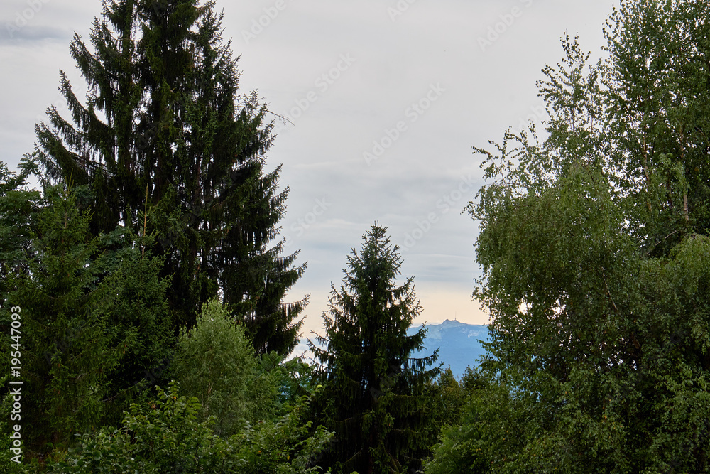 The radio tower at the top of Mount Dobratsch framed between tree tops near Faaker See in Austria