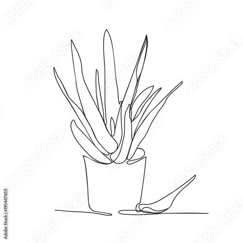 continuous line drawing Aloe vera in the pot