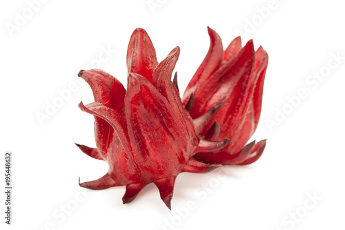 red roselle isolated