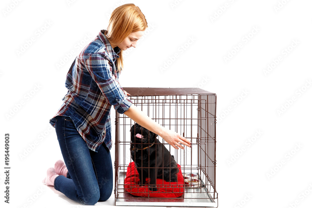 dog opens crate