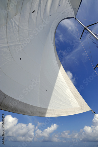 JIB OF A SAILING BOAT