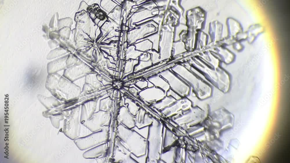 ice under a microscope on glass ice under a microscope on glass