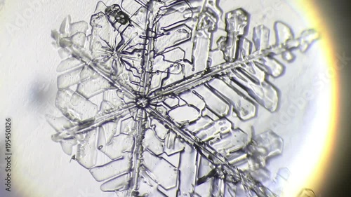  ice under a microscope on glass
