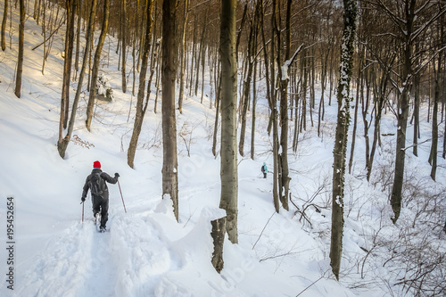 Hiker walking in the forest on the hill covered with fresh deep snow at sunset. © Goran Jakus