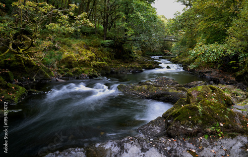 Cumbria Lake District Stream