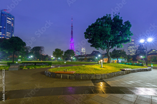 Illuminated Tokyo tower in the park at night, Japan