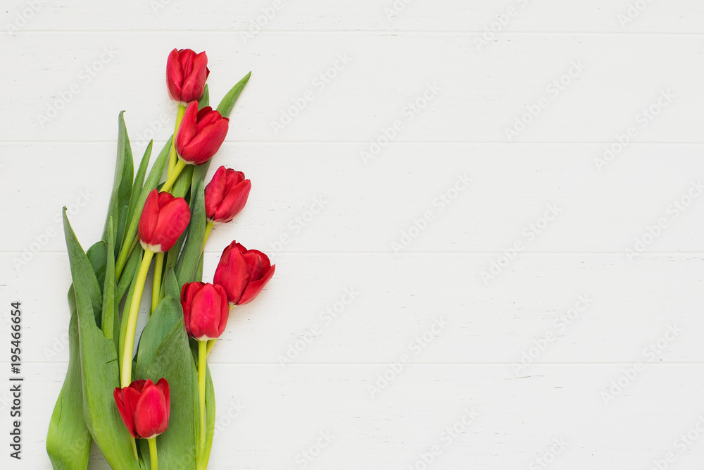 Row of tulips on white background with space for message. Mother's Day background. Top view