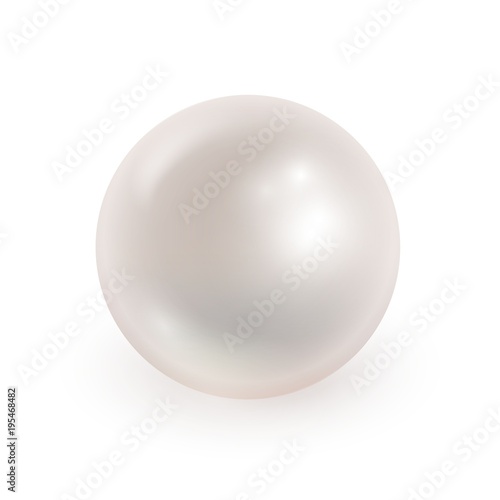 Vector illustration of realistic pearl isolated on transparen ba