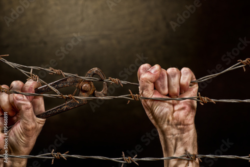 Man is Cutting a Fence of Barbed Wire