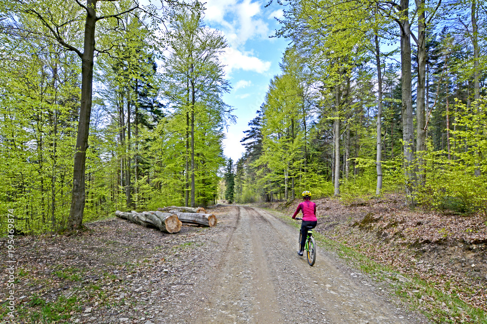 Obraz premium Woman on a bicycle in the forest