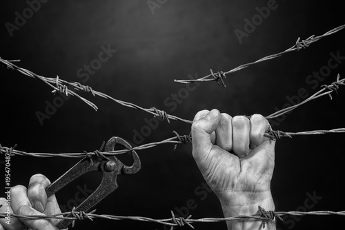 Man is Cutting a Fence of Barbed Wire