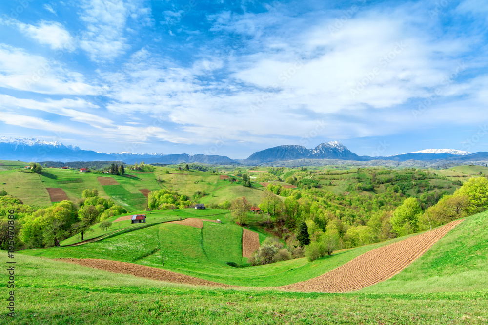Spring landscape Spring landscape