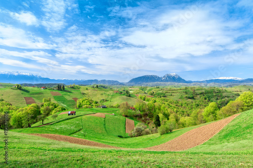 Spring landscape