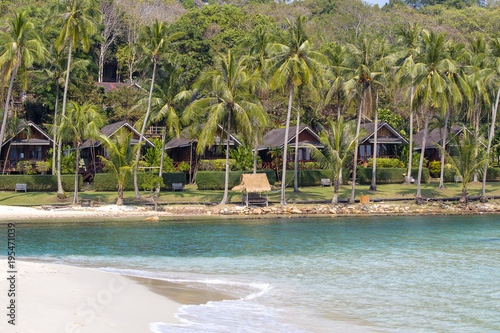 Tropical sand beach  sea water waves and palm trees  Thailand